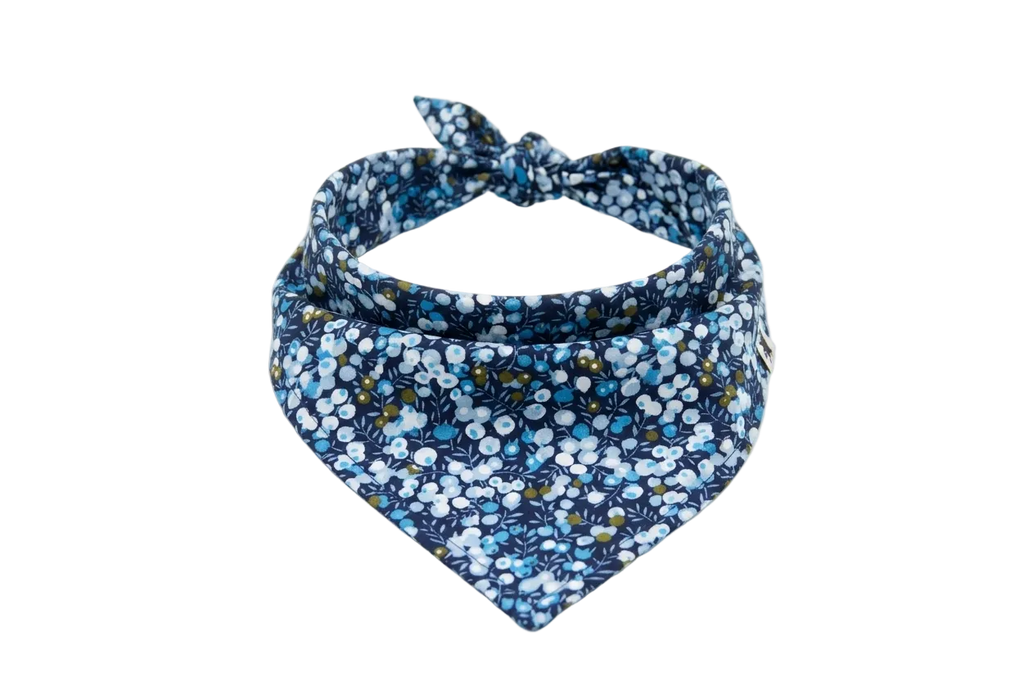 Bandana Blue Meadow