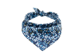 Bandana Blue Meadow