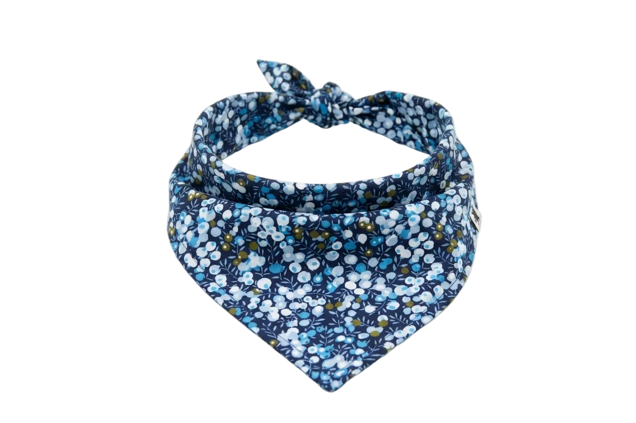Bandana Blue Meadow