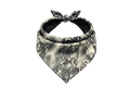 Midnight Wild Dog Bandana