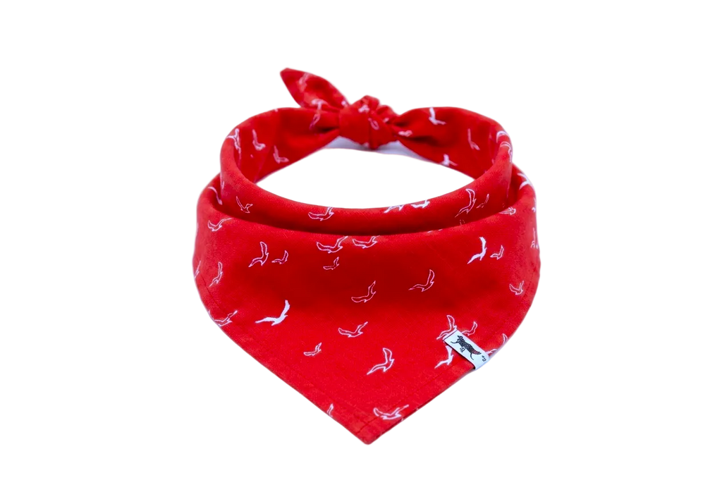 Bandana Red Breaze