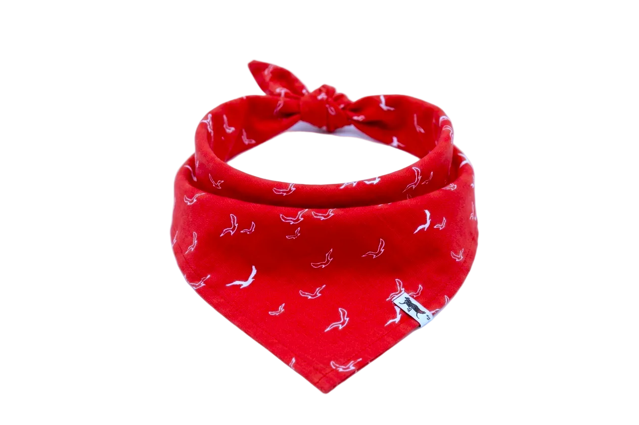 Bandana Red Breaze