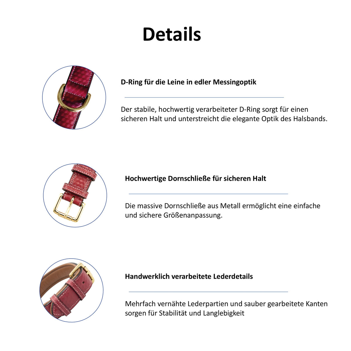 Exklusives Hundehalsband aus Premium Leder