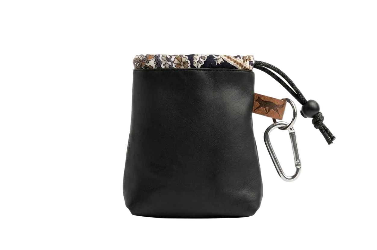 Treat pouch