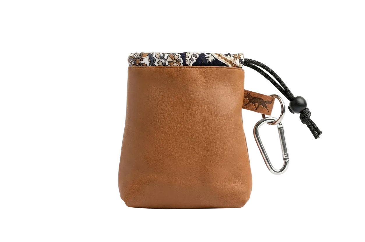 Treat pouch
