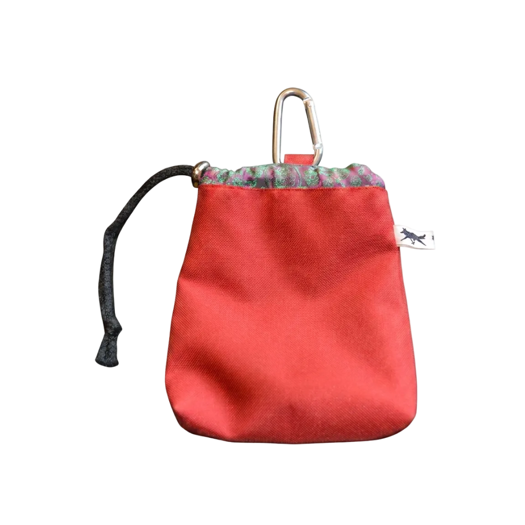 Treat pouch