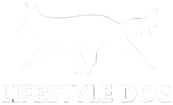 Lifestyle Dog