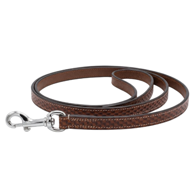 Premium Leather Leash Single