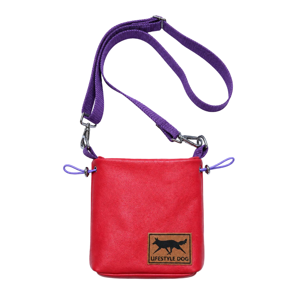 Gassi-Tasche aus Echtleder mit Kotbeutelspender