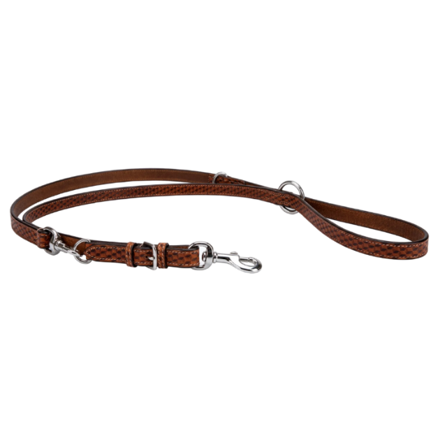 Premium Leather Leash Double