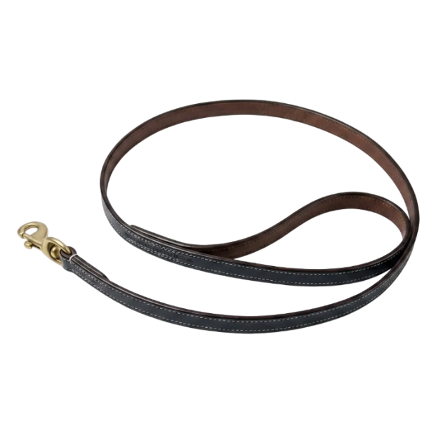 Premium Leather Leash Single